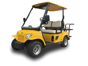 golf cart repair service, laguna beach cart repair pickup, golf cart inspection